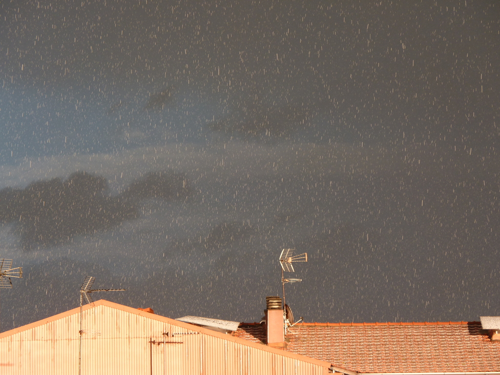 No s'ha trobat l'arxiu